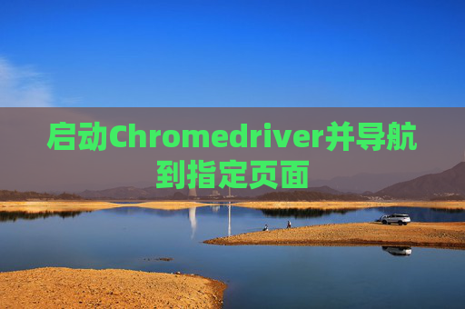 启动Chromedriver并导航到指定页面
